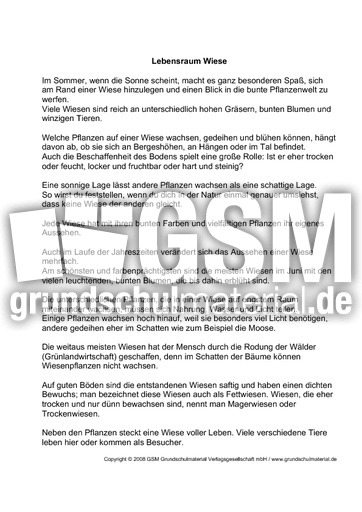 Lebensraum-Wiese-Text-1.pdf